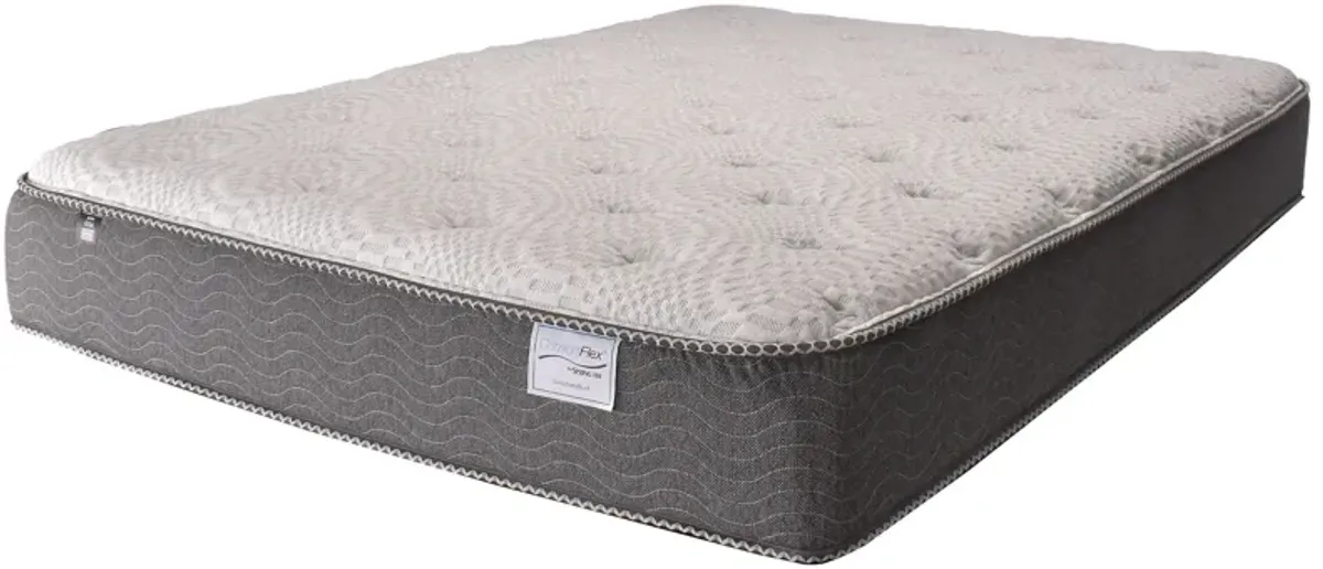 Evolution Plush Twin Xl Mattress
