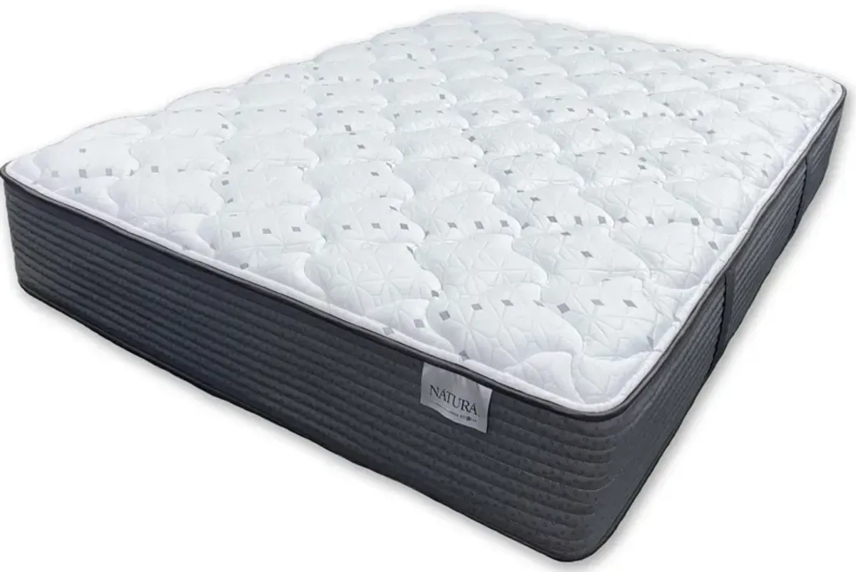 Whitmore Hybrid Mattress - Twin Xl