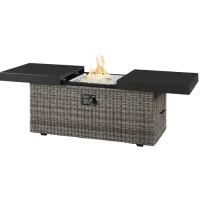 Outdoor Fire Pit W/Cover