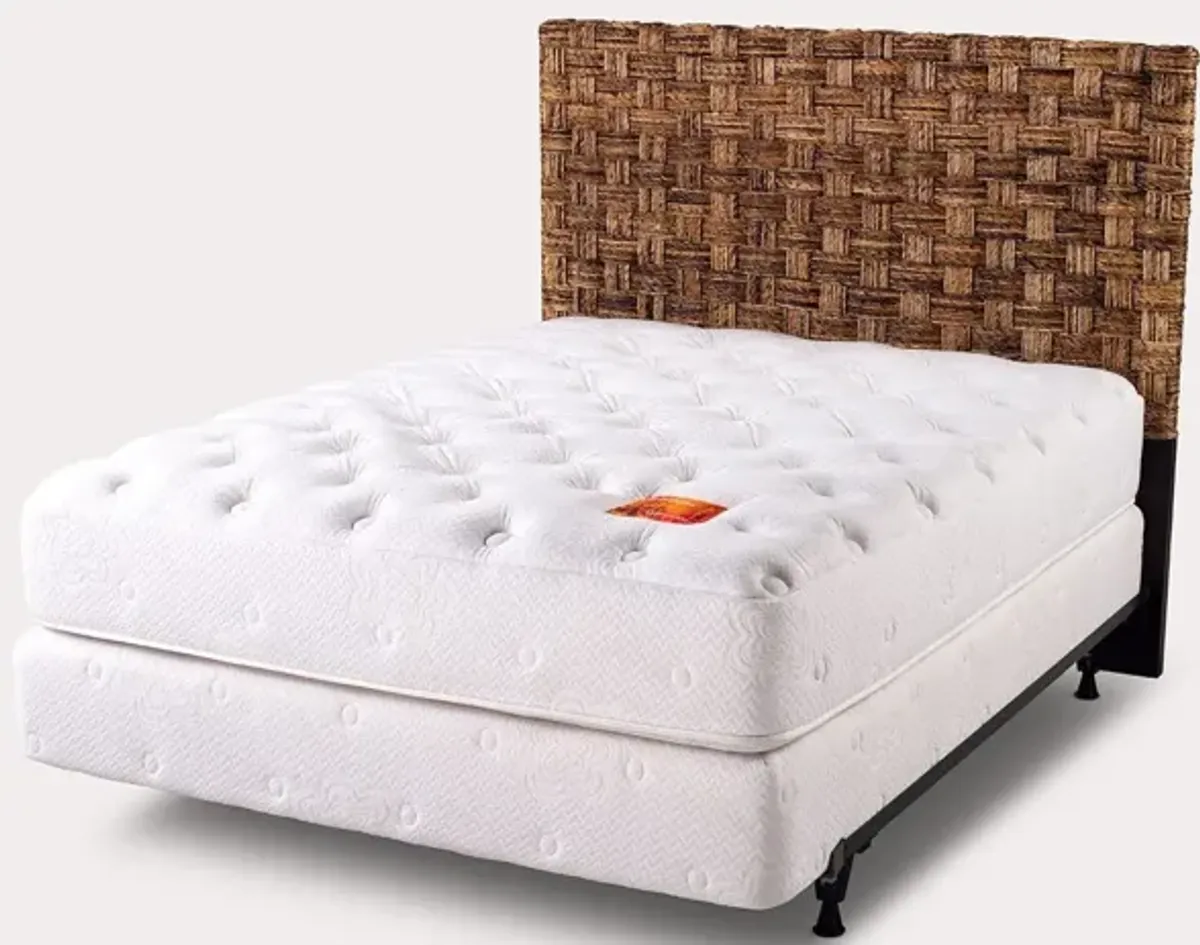 Palmetto Home Banana Coffee Headboard - Twin