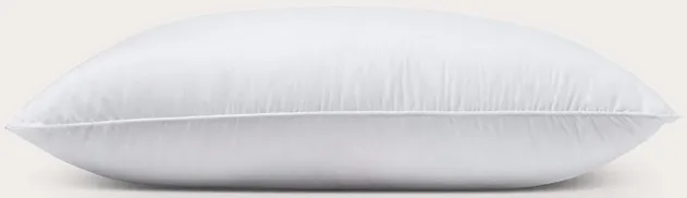 Down Decor 100% White Down Pillow - Standard