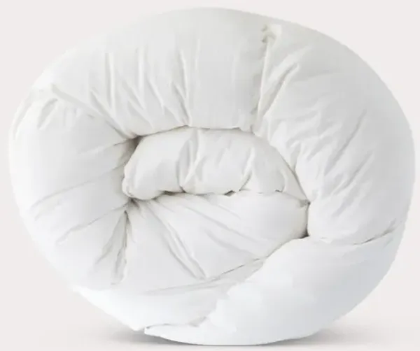 Down Decor Goose Down Comforter - King