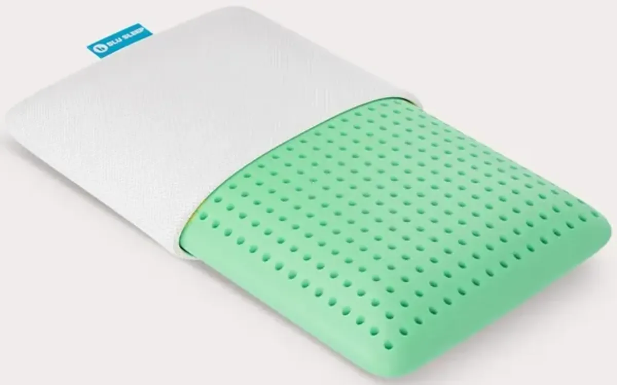 Blu Sleep Bio Aloe Memory Foam Pillow - Memory Foam - Queen