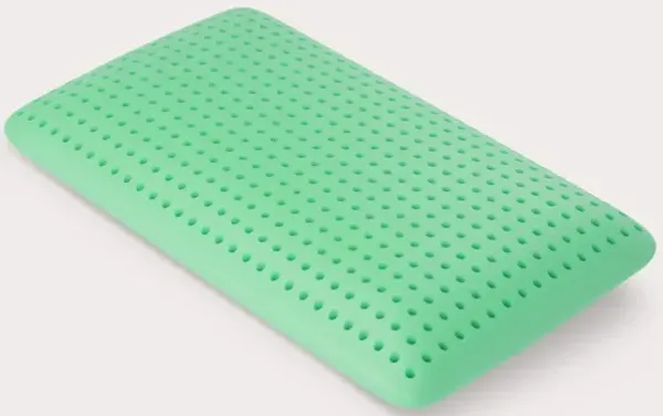 Blu Sleep Bio Aloe Memory Foam Pillow - Memory Foam - Queen