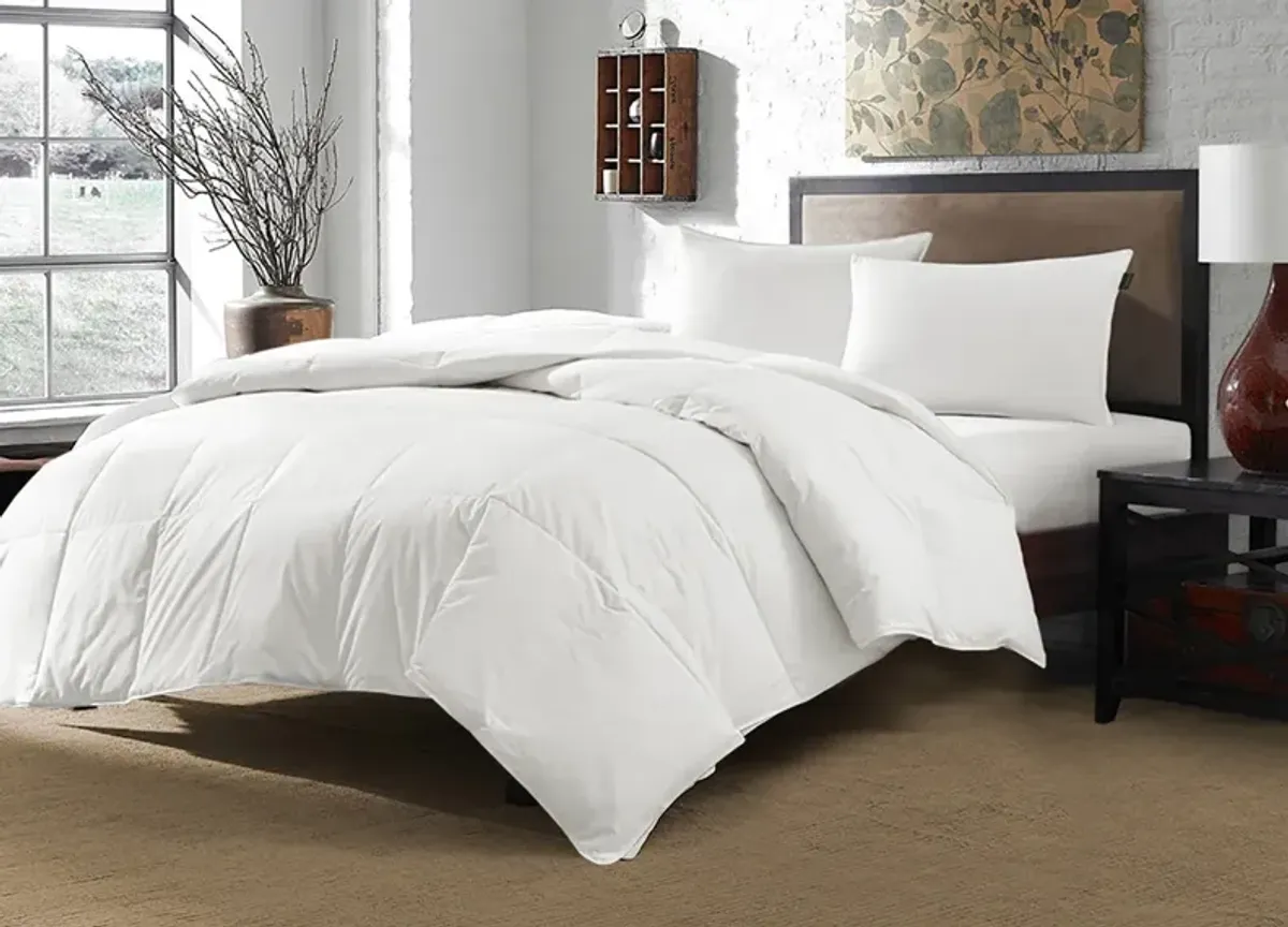 Downlite Dream Naturally® White Down Comforter - King