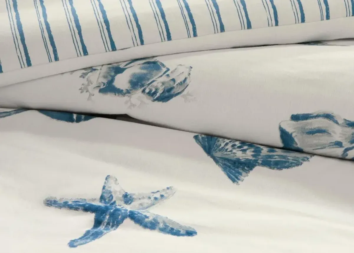 Harbor House Beach House Seashell Print Cotton Comforter Set - Queen