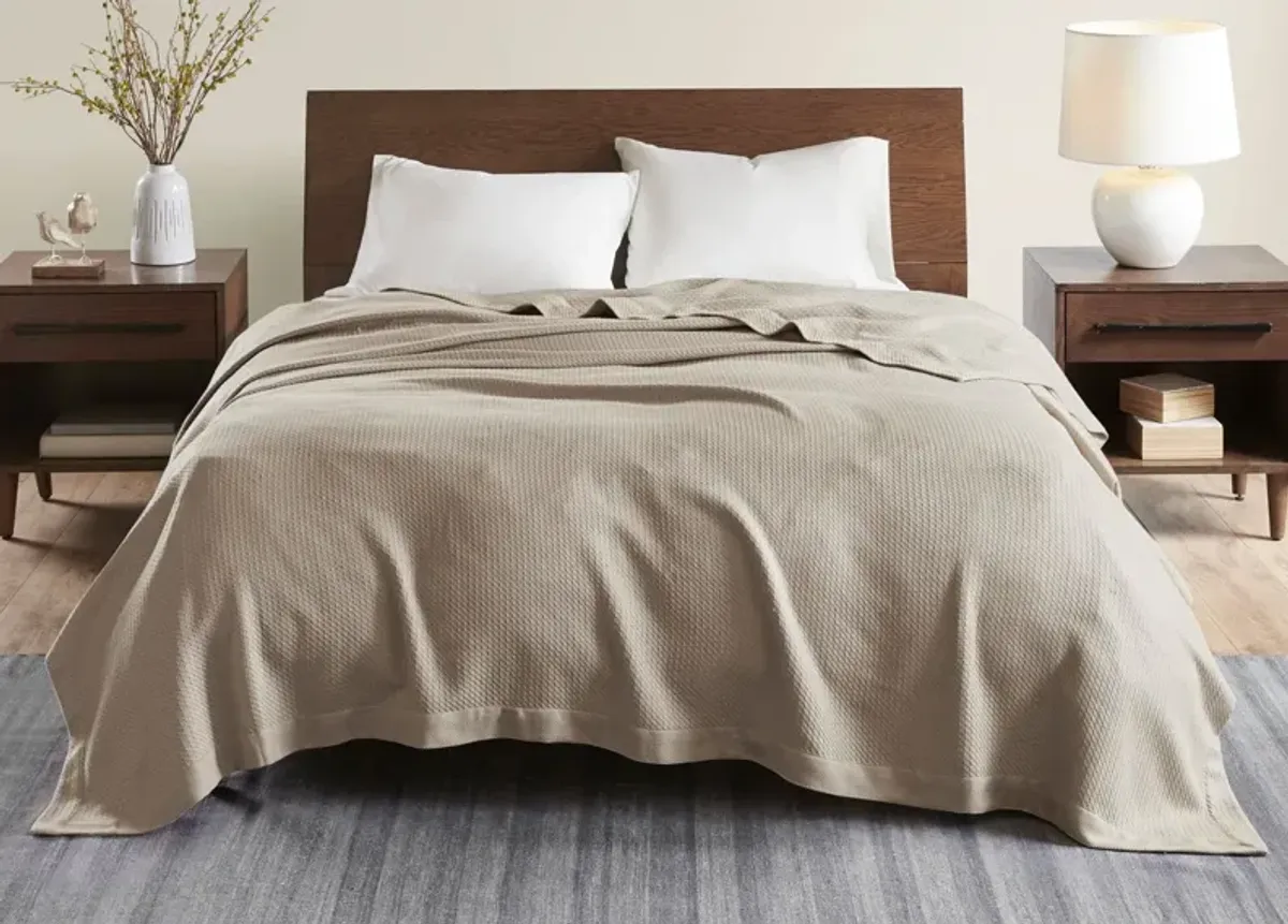 Madison Park Certified Egyptian Cotton Blanket - Khaki - Queen