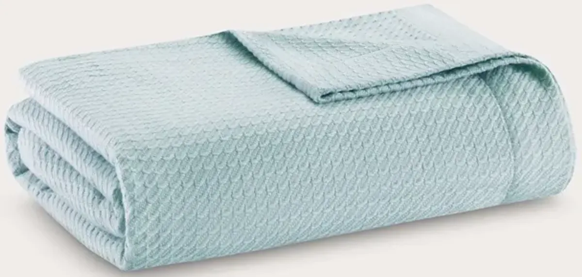 Madison Park Certified Egyptian Cotton Blanket - Light Blue - Queen