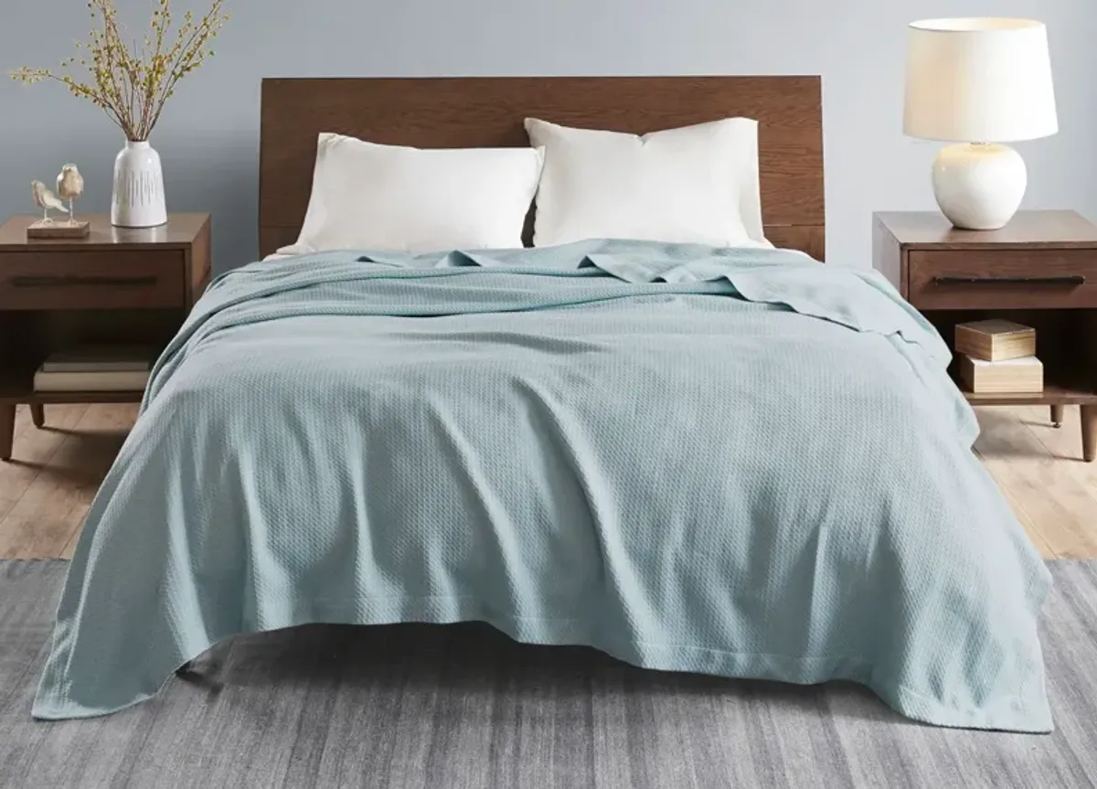 Madison Park Certified Egyptian Cotton Blanket - Light Blue - Queen