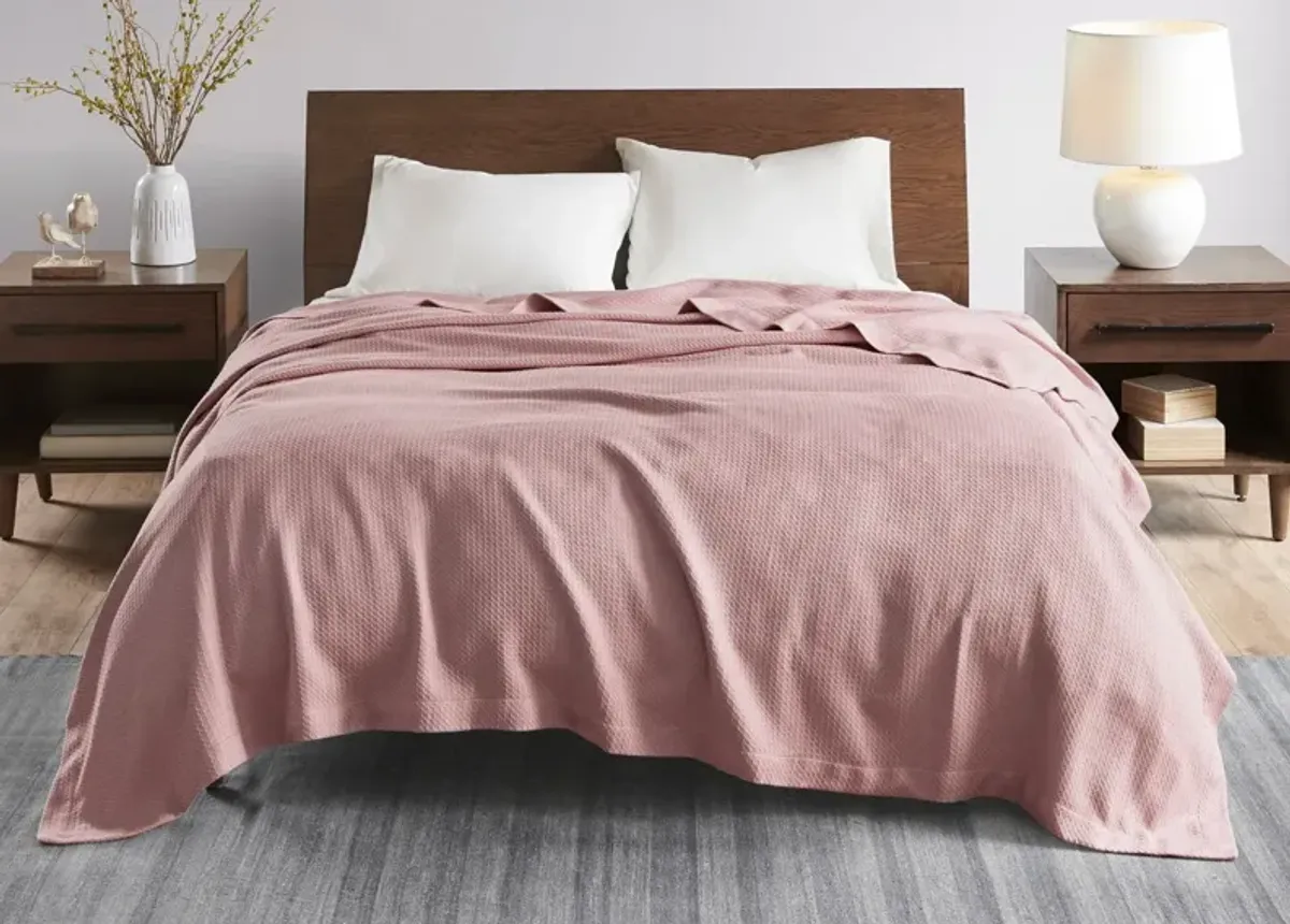 Madison Park Certified Egyptian Cotton Blanket - Rose - Queen