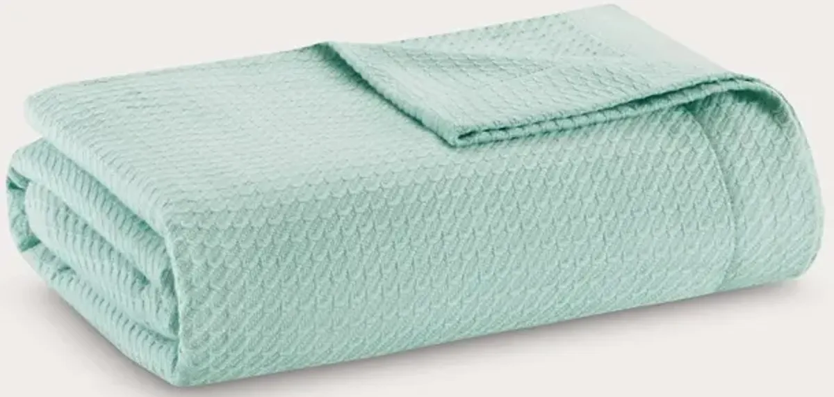 Madison Park Certified Egyptian Cotton Blanket - Seafoam - Queen