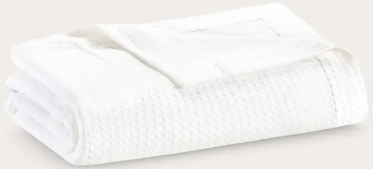 Madison Park Certified Egyptian Cotton Blanket - White - Queen