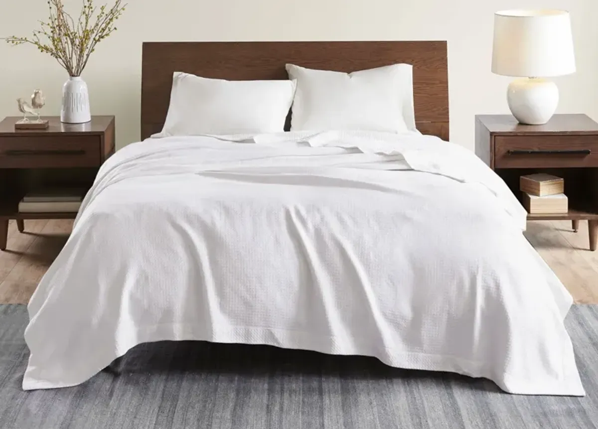 Madison Park Certified Egyptian Cotton Blanket - White - King