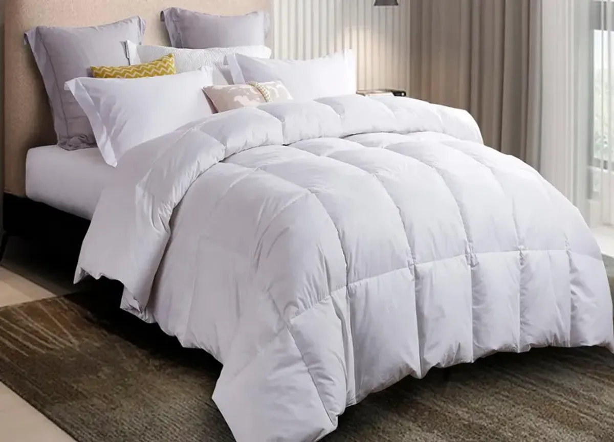 Martha Stewart White Feather and Down Comforter - King