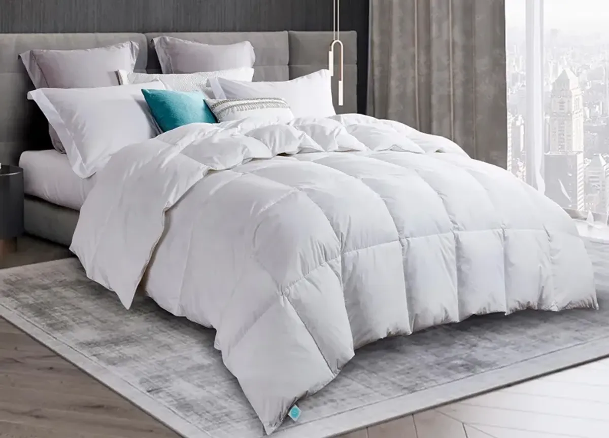 Martha Stewart White Goose Down and Feather Comforter - Twin