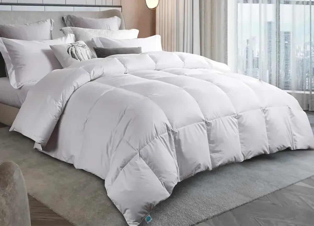 Martha Stewart Premium White Down Comforter - Twin