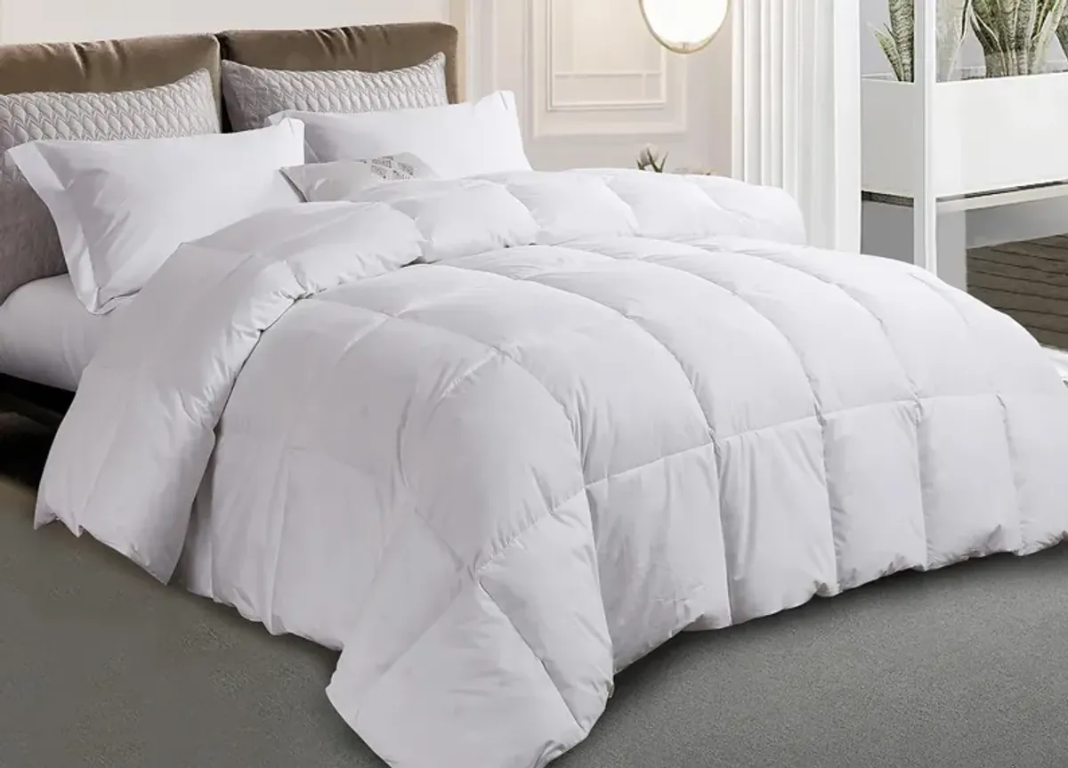 Kathy Ireland Home Kathy Ireland White Goose Feather and Down Comforter - Queen