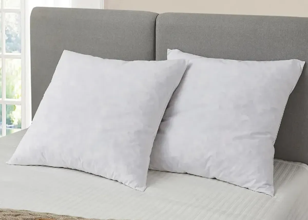 Blue Ridge Home Fashions Blue Ridge Home Square Euro Feather Pillow 2-Pack