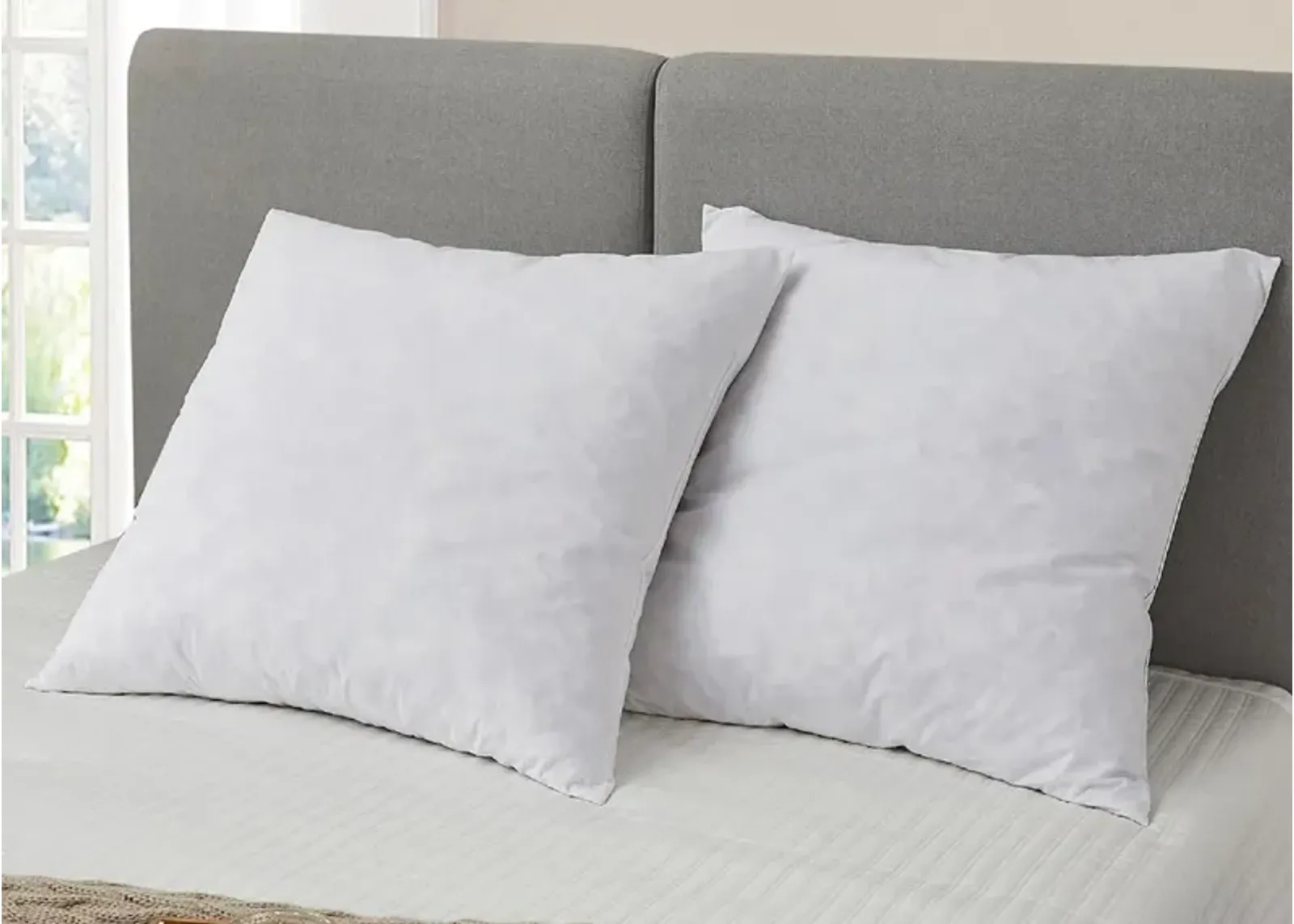 Blue Ridge Home Fashions Blue Ridge Home Square Euro Feather Pillow 2-Pack