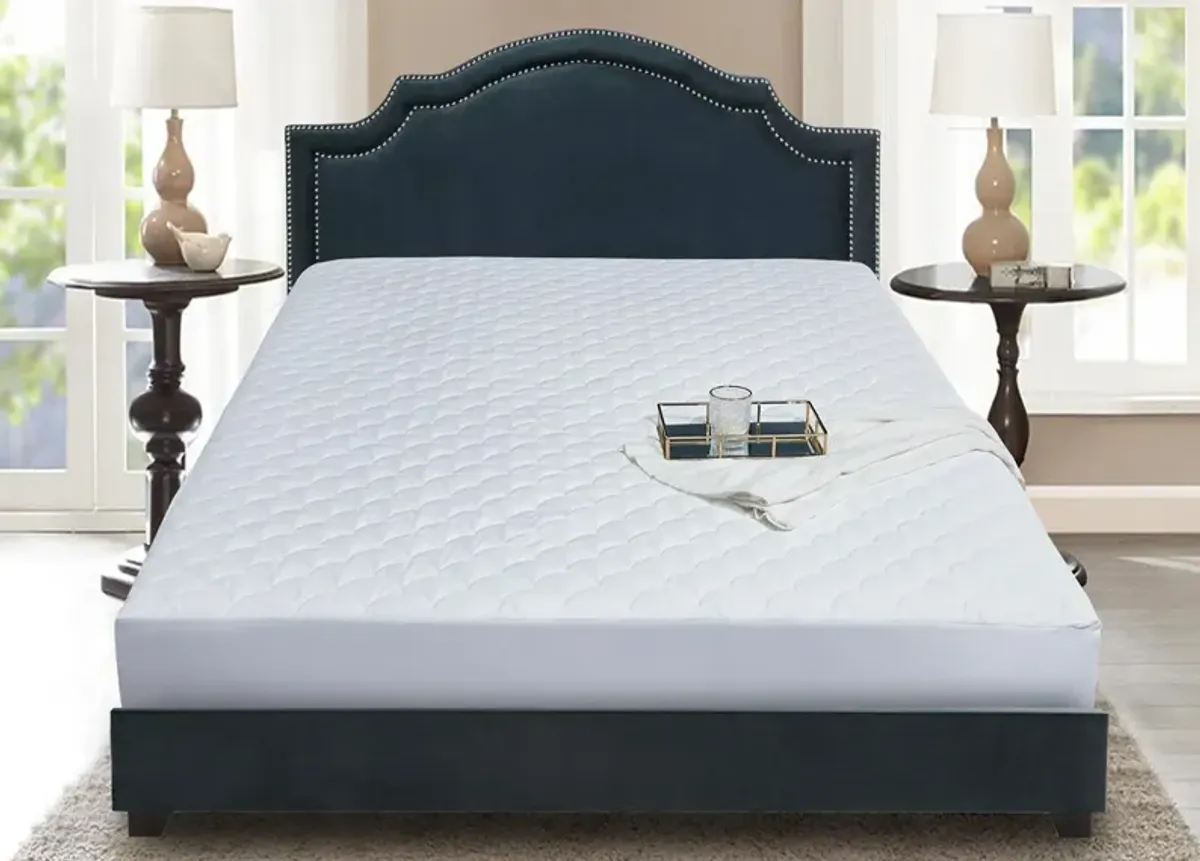 Blue Ridge Home Fashions Blue Ridge Home Damask Dot Cotton Top Mattress Pad - Queen