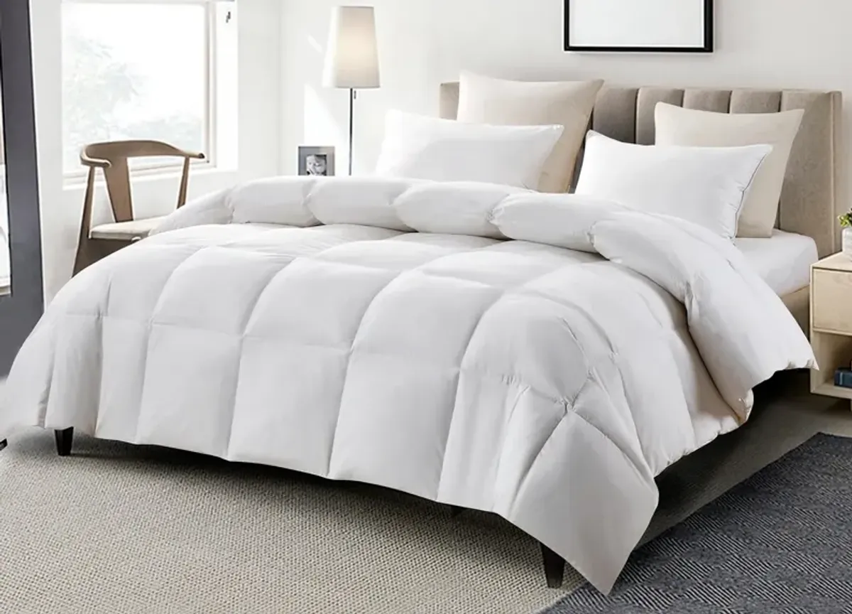 Serta All Season White Goose Feather and Down Fiber Comforter - Twin