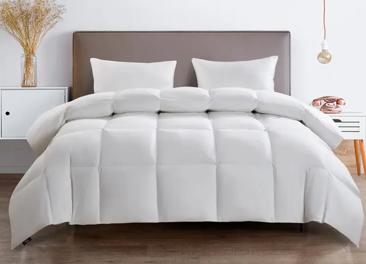 Serta Extra Warmth White Goose Feather and Down Fiber Comforter - Twin