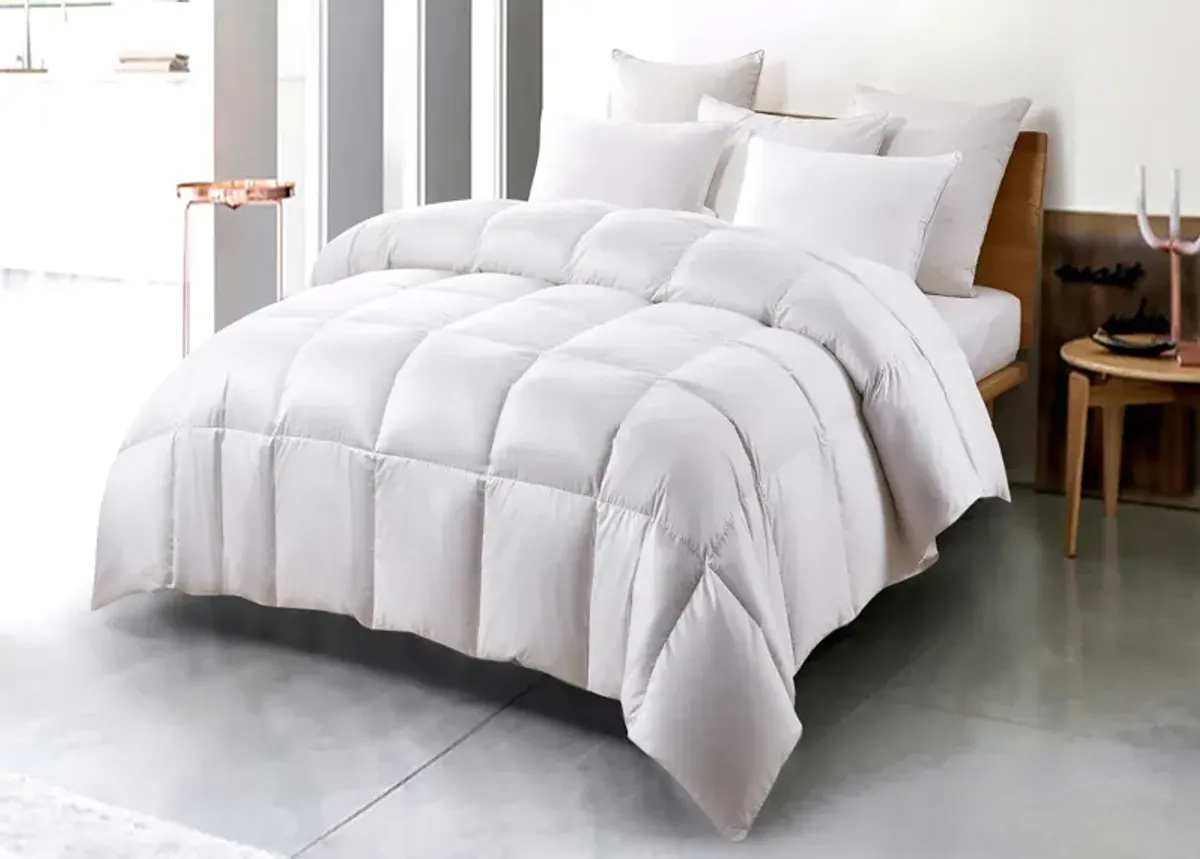 Serta Extra Warmth White Down Fiber Comforter - Twin