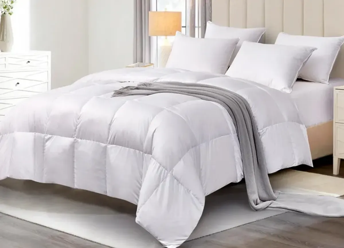 Scott Living All Season White Down Fiber Comforter Light to Medium Warmth - Twin