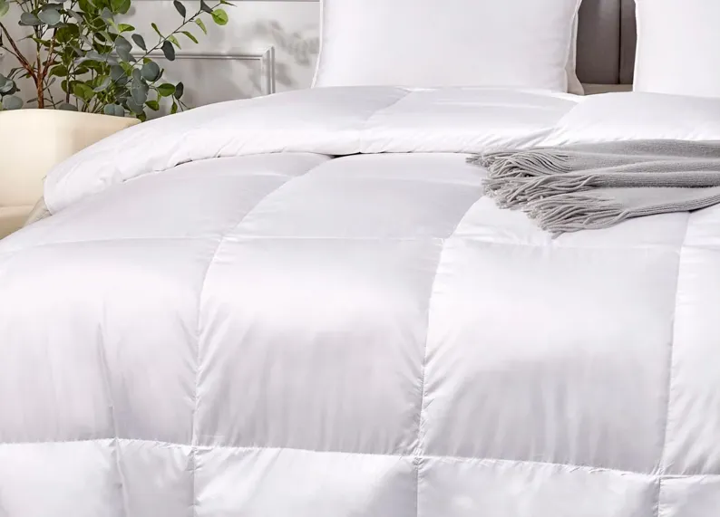 Scott Living Extra Warmth White Down Fiber Comforter - Queen