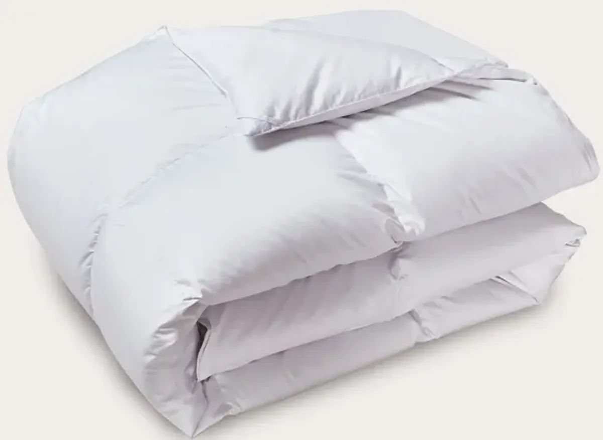 Beautyrest Cotton Sateen Goose Down Comforter - Queen