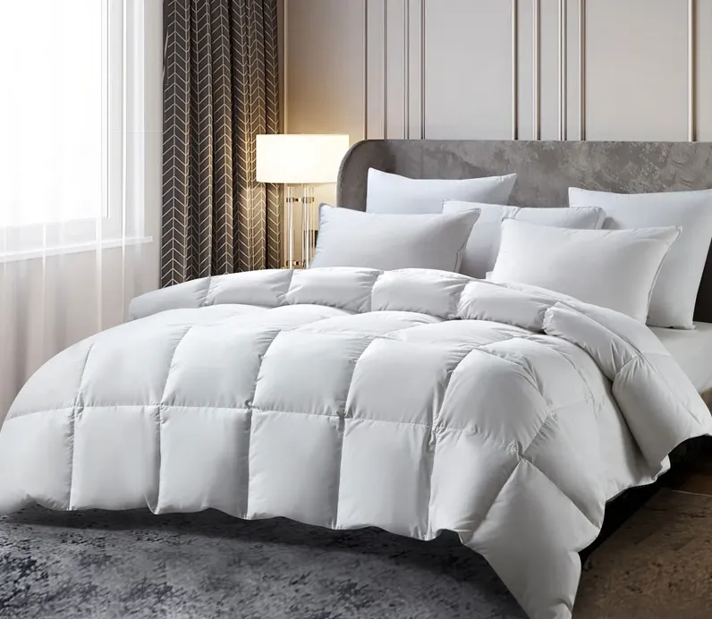 Beautyrest Cotton All Season RDS Feather and Down Comforter - Twin