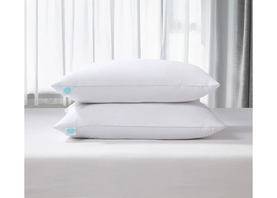 Martha Stewart Cotton Tencel Blend Medium Firm Feather and Down Pillow 2-Pack - Jumbo