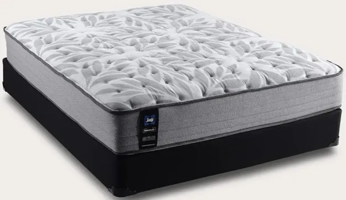 Sealy Posturepedic® Malden Medium Mattress - King