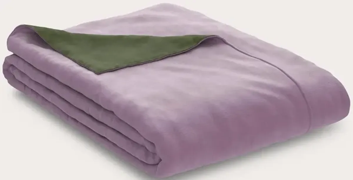 PureCare Cooling Bamboo Reversible Duvet Cover and Sham Set Separates - Lilac/Jungle - King Sham