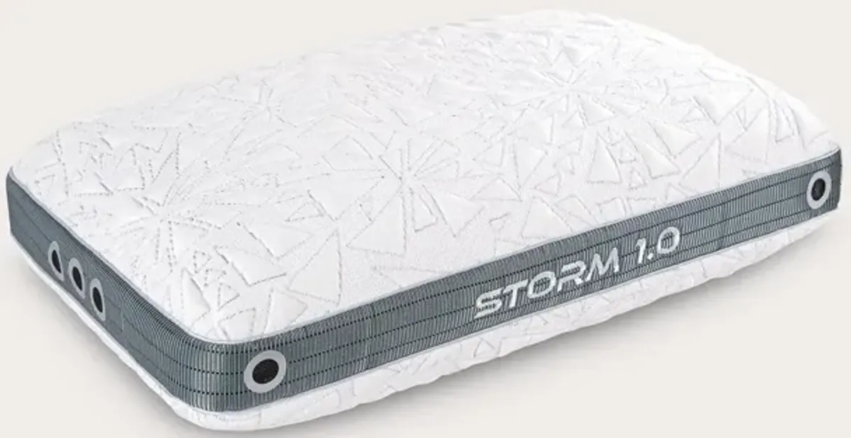 Bedgear Storm Performance Pillow - Memory Foam - Queen