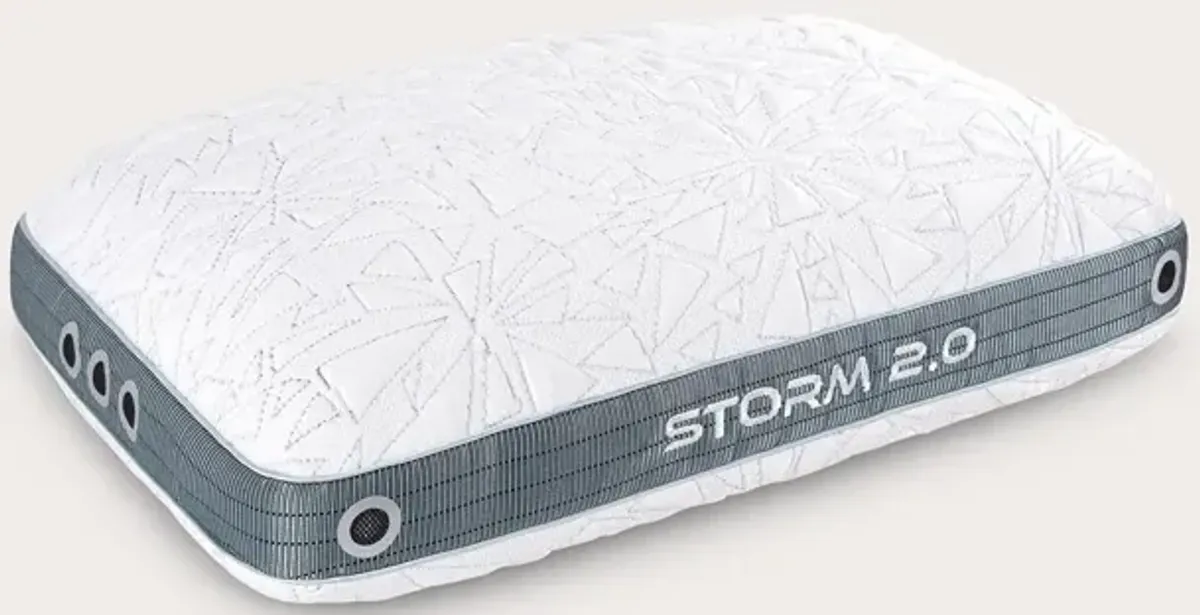 Bedgear Storm Performance Pillow - Memory Foam - Queen