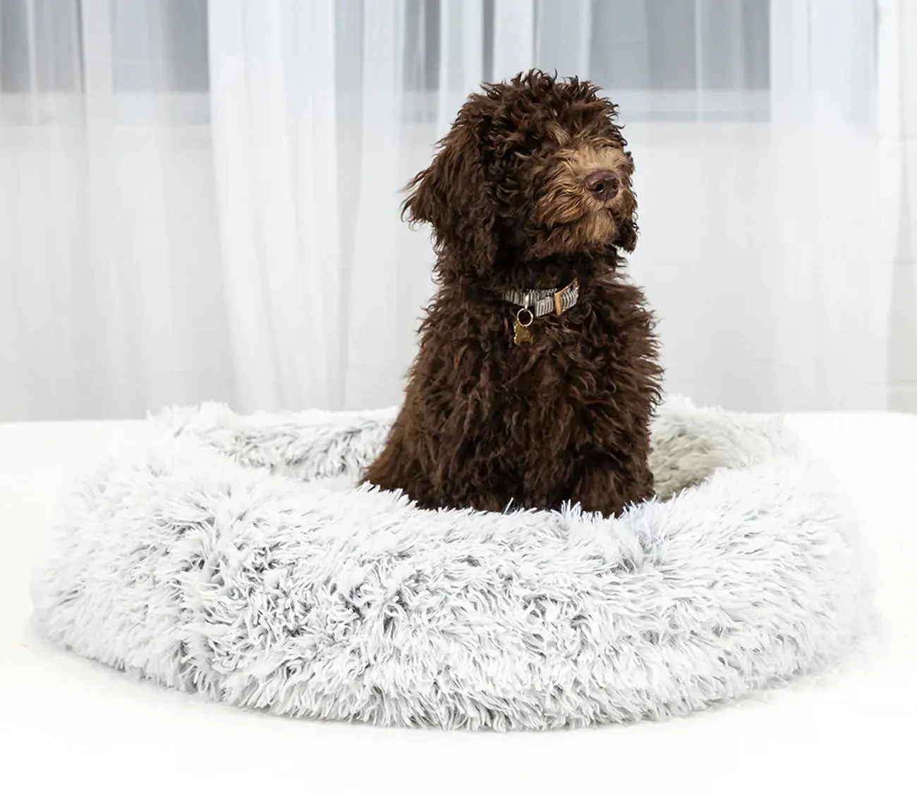 Blu Sleep Ceramo Foam Pet Bed - Large Pet Bed