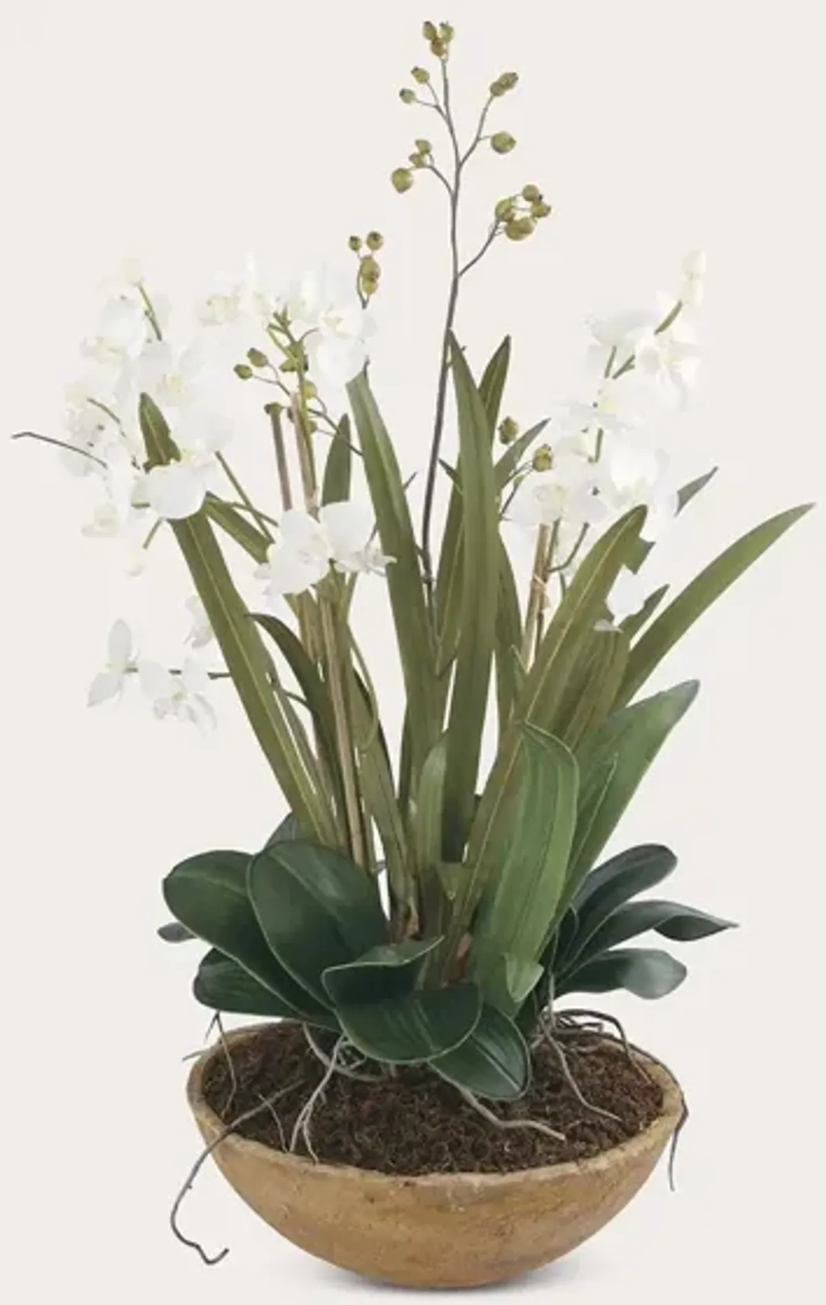 Uttermost Moth Orchid Planter