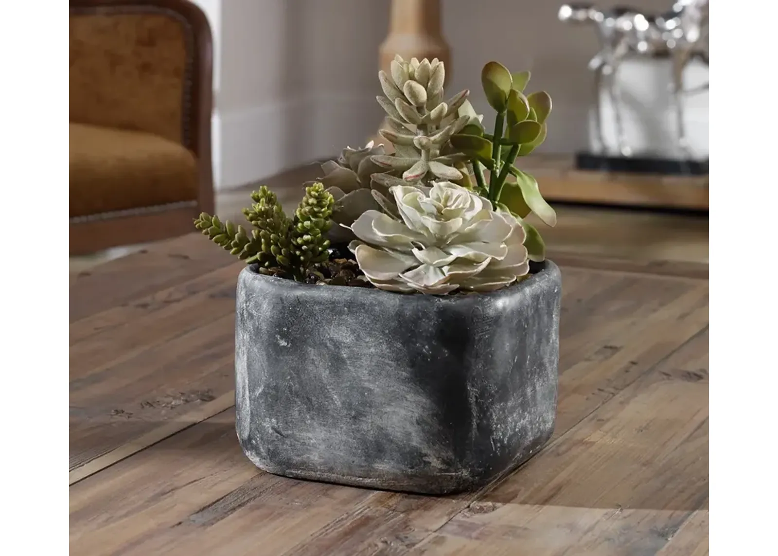 Uttermost Alverio Desert Garden Succulents