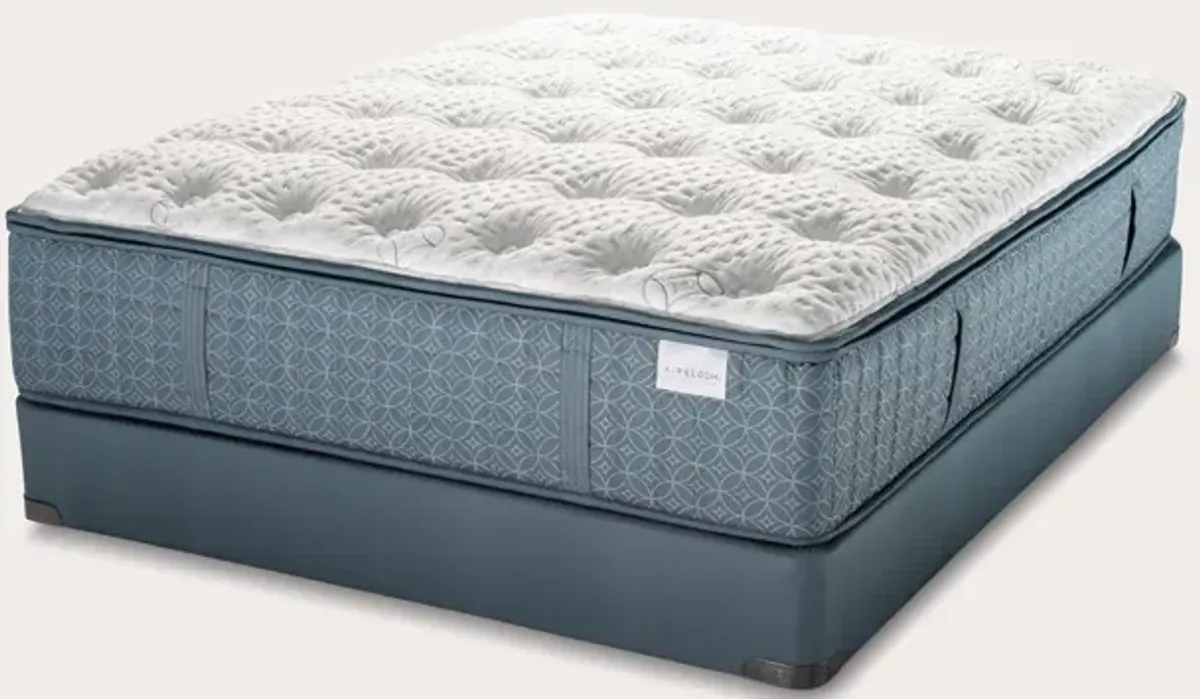 Aireloom Luxetop M1 Firm Mattress Handcrafted - Full