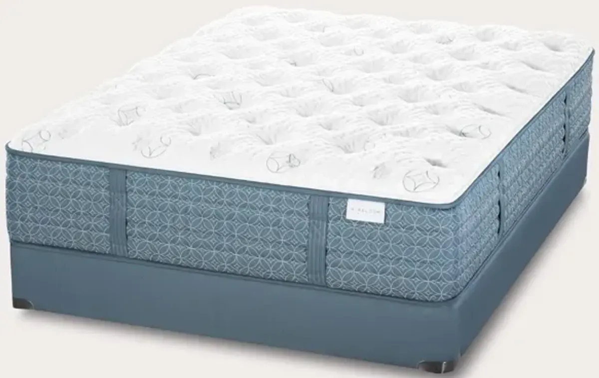 Aireloom Streamline M1 Plush Mattress Handcrafted - Queen