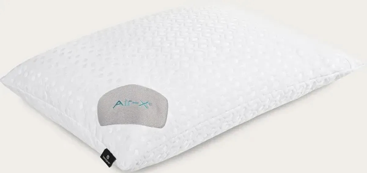 Bedgear Dri-Tec with Air-X Pillow Protector - King