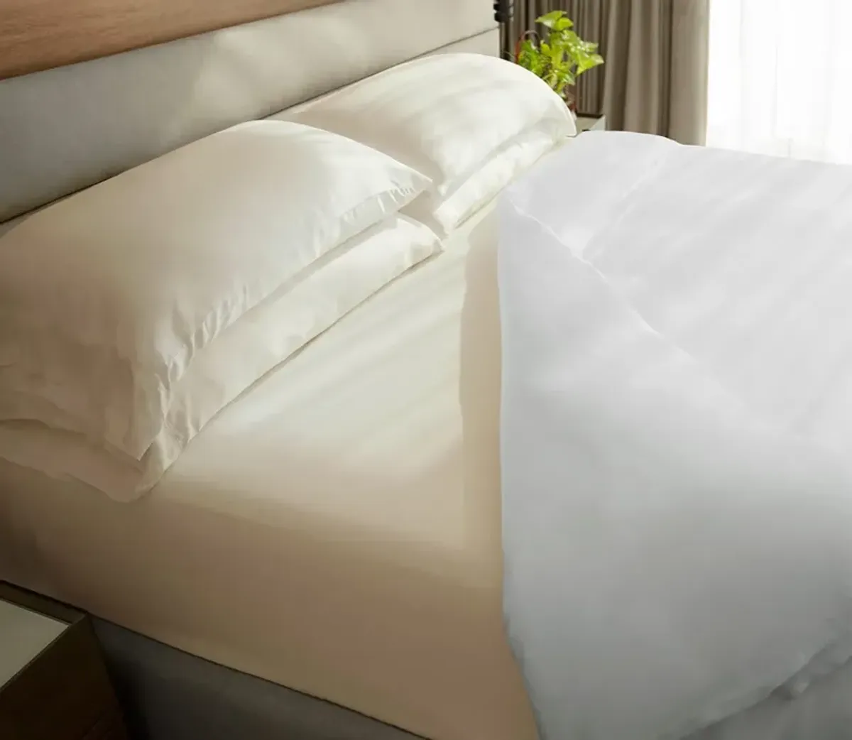 Cariloha Classic Bamboo Bed Sheet Set - Beach Linen - Queen