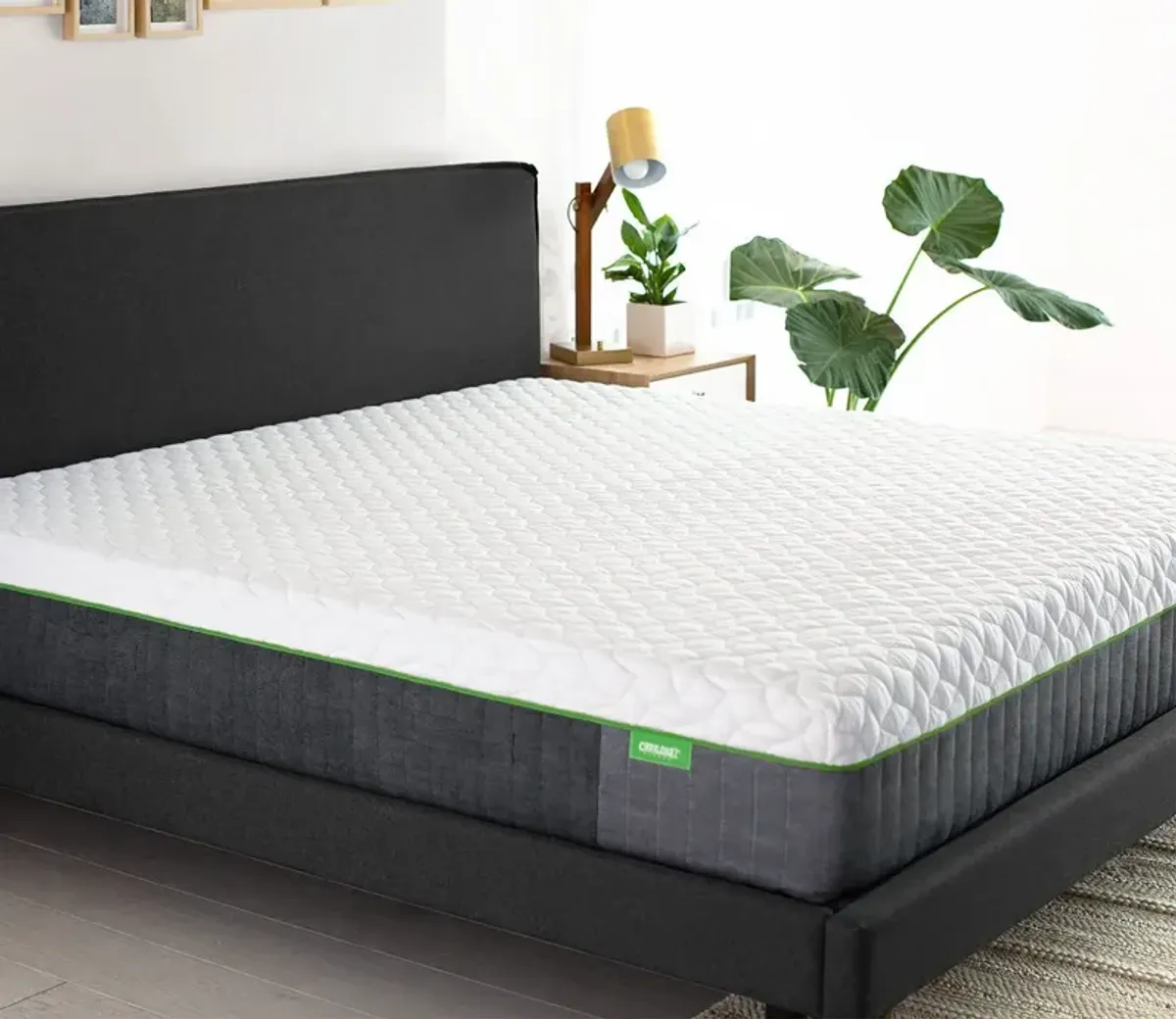 Bed in a Box Cariloha Resort Bamboo Mattress - Queen