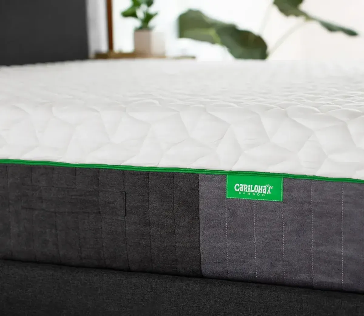 Bed in a Box Cariloha Resort Bamboo Mattress - Queen