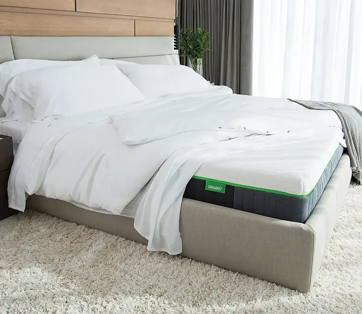 Bed in a Box Cariloha Classic Bamboo Mattress - Twin