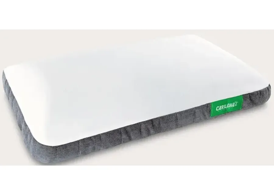 Cariloha Gel Pillow - Memory Foam - Standard