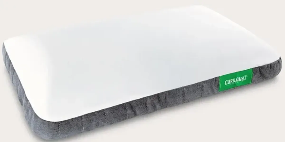 Cariloha Gel Pillow - Memory Foam - Standard