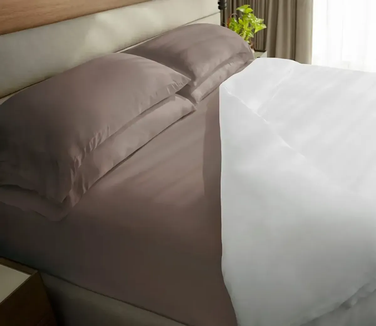 Cariloha Classic Bamboo Bed Sheet Set - Ivory - Twin XL