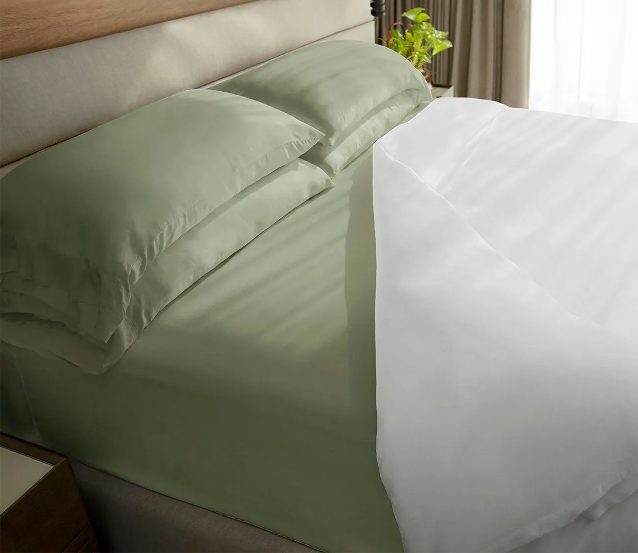 Cariloha Classic Bamboo Bed Sheet Set - Tahitian Breeze - Full